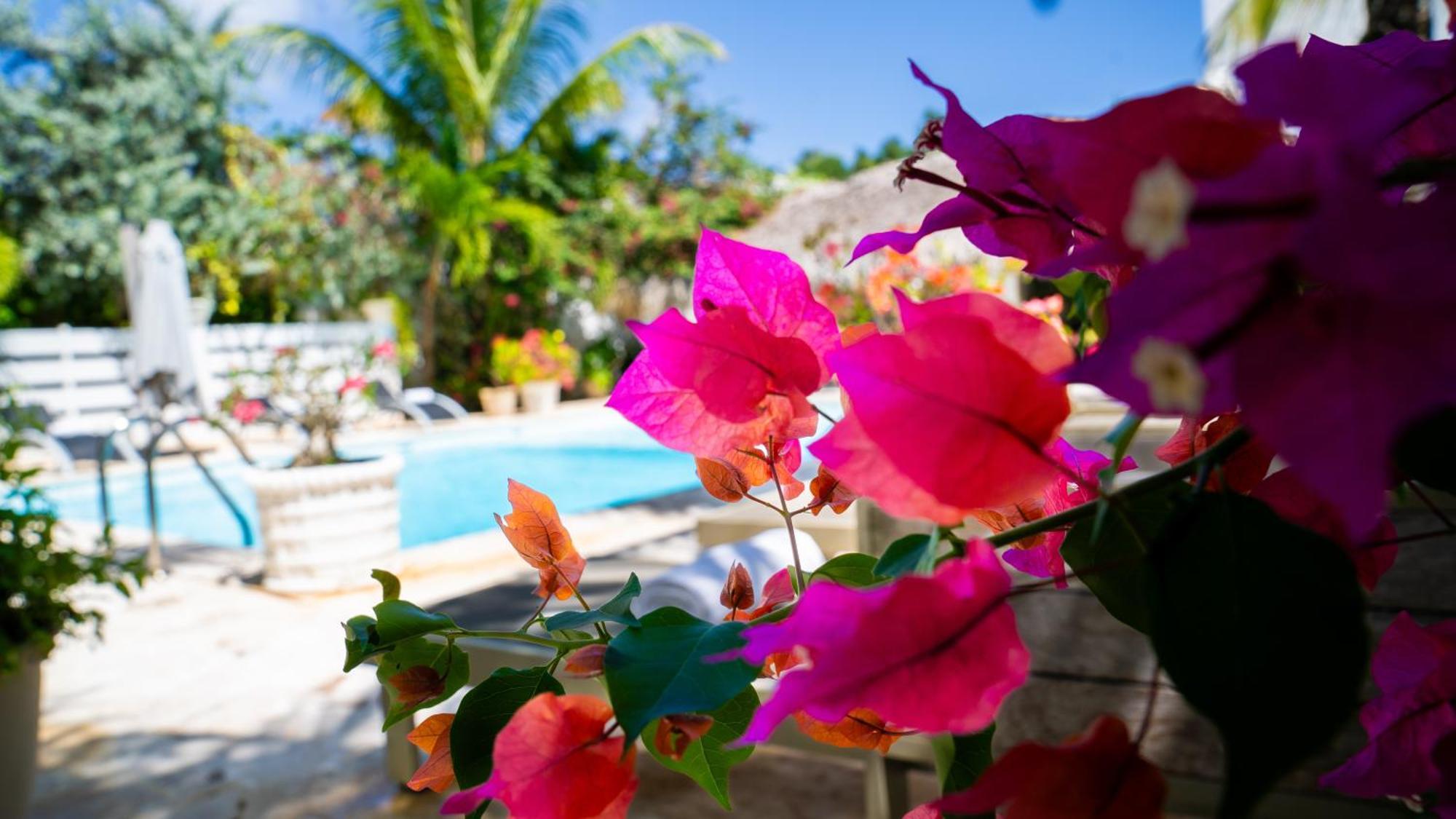 Boutique Hotel Las Flores Punta Cana Dış mekan fotoğraf